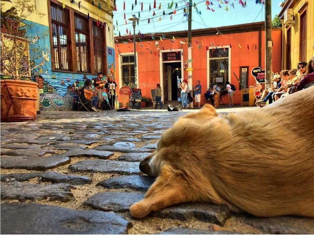 Casa Nomade Hotel Boutique Valparaíso Dış mekan fotoğraf